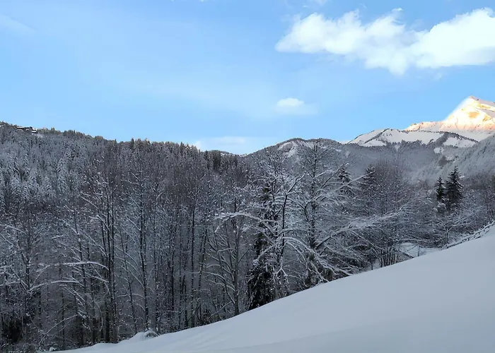 Appartement Confortable Avec Vue Sur La Montagne