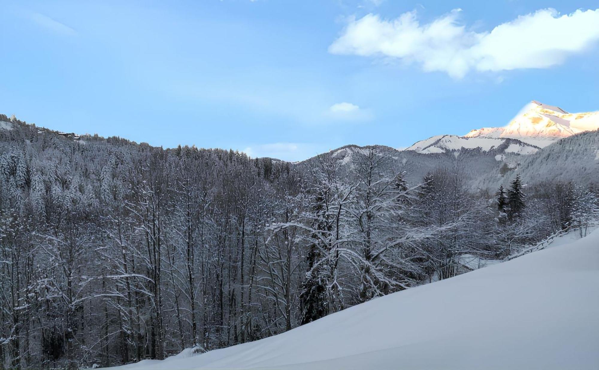 Confortable Avec Vue Sur La Montagne Apartment *